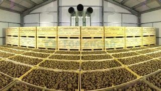Строительство картофелехранилищ